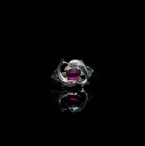 Anillo Delfines