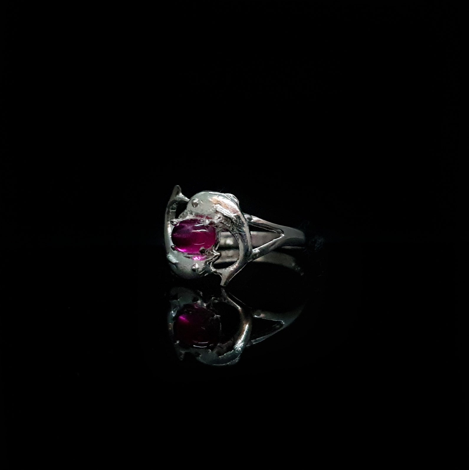 Anillo Delfines