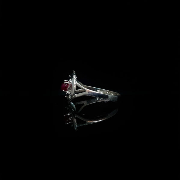 Anillo Delfines