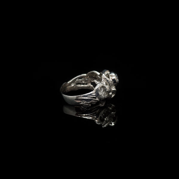 Anillo León y Serpiente