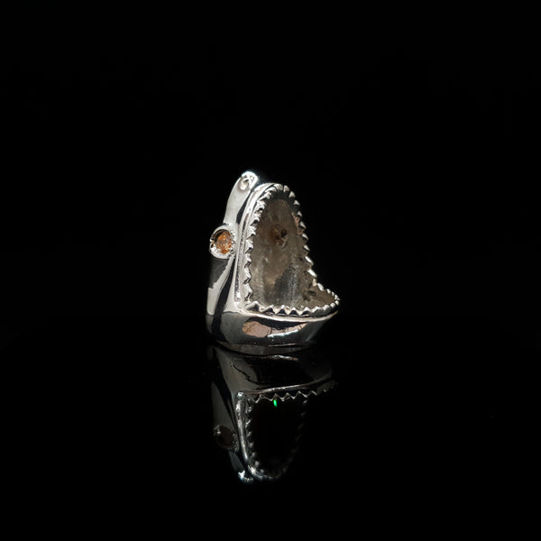 Anillo Tiburón