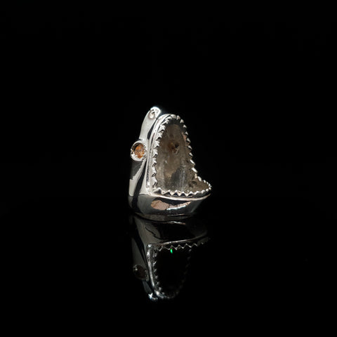 Anillo Tiburón