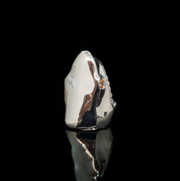 Anillo Tiburón